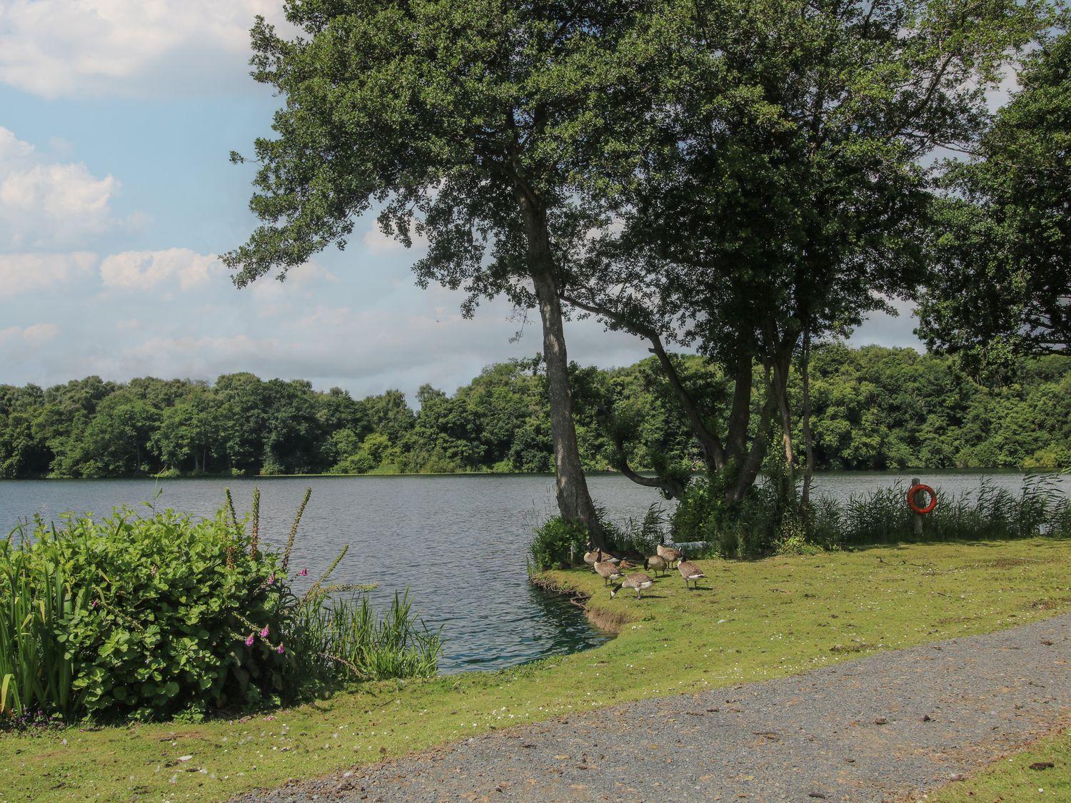 Swan Villa Leominster Kültér fotó