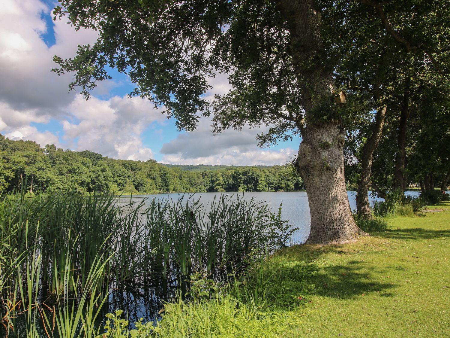 Swan Villa Leominster Kültér fotó